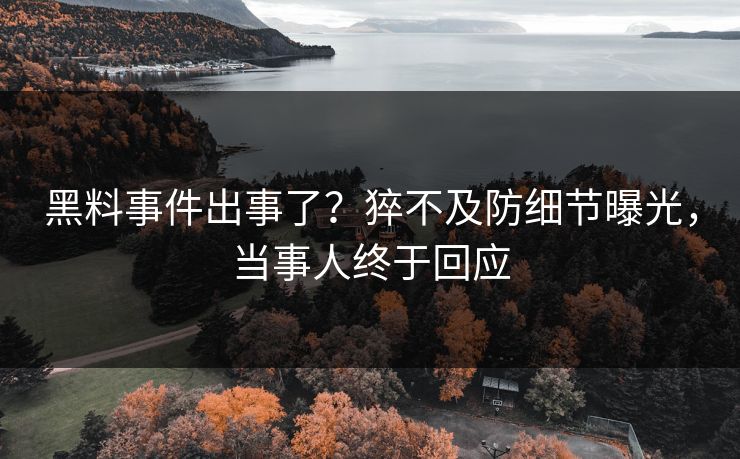 黑料事件出事了？猝不及防细节曝光，当事人终于回应