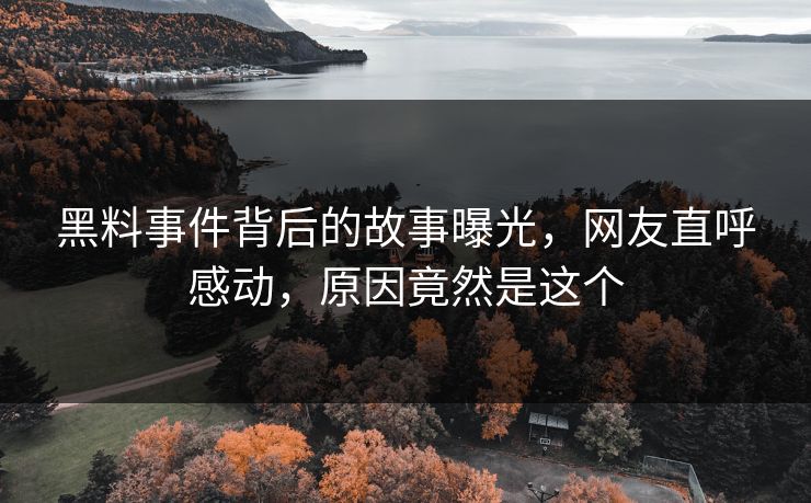 黑料事件背后的故事曝光，网友直呼感动，原因竟然是这个