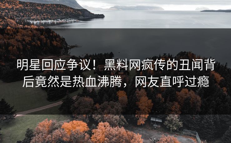 明星回应争议！黑料网疯传的丑闻背后竟然是热血沸腾，网友直呼过瘾
