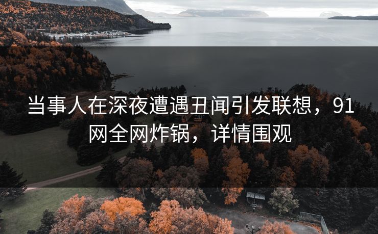 当事人在深夜遭遇丑闻引发联想，91网全网炸锅，详情围观